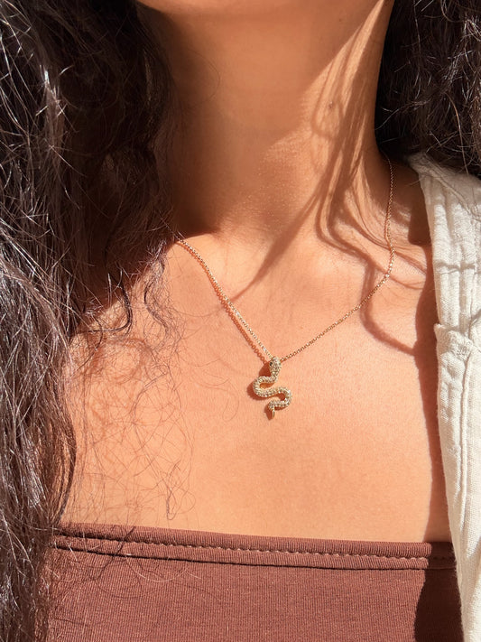 Snake Charm Necklace
